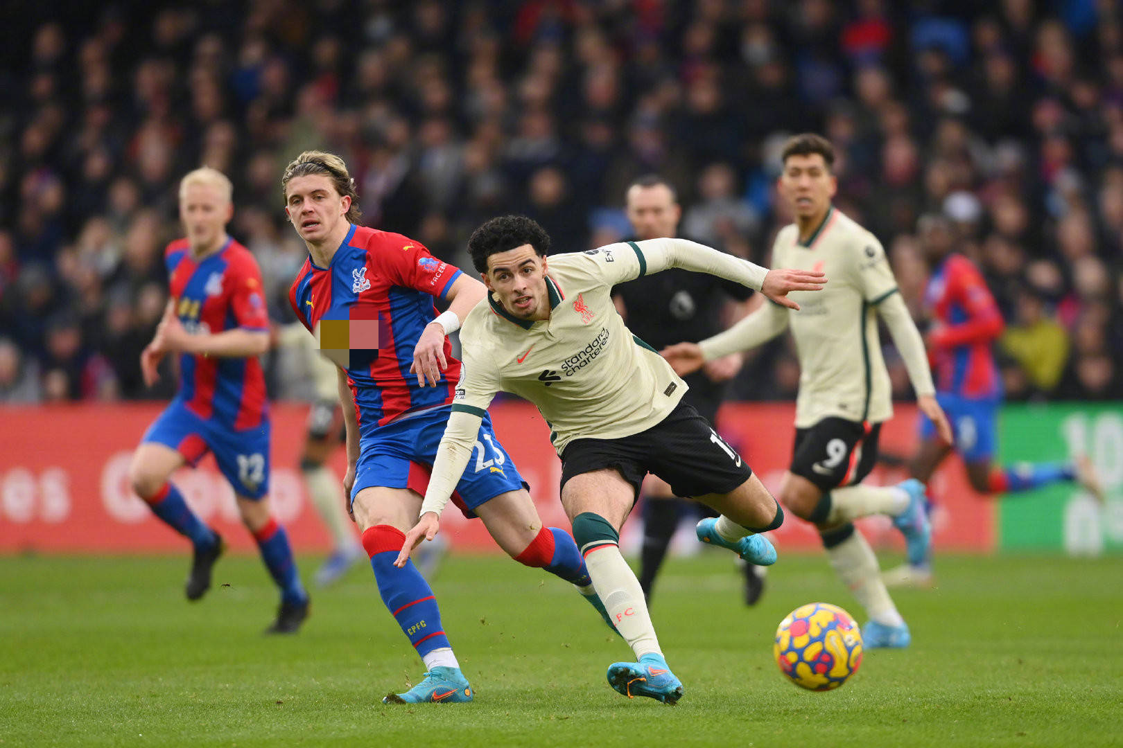 远规划的战 远规划的战